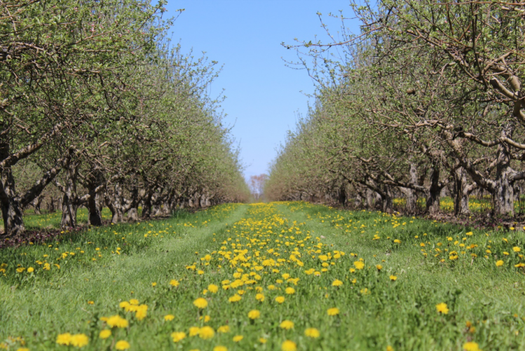 Uncle John’s Cider Mill Offers A Day Of Fun For Any Ocassion Grand