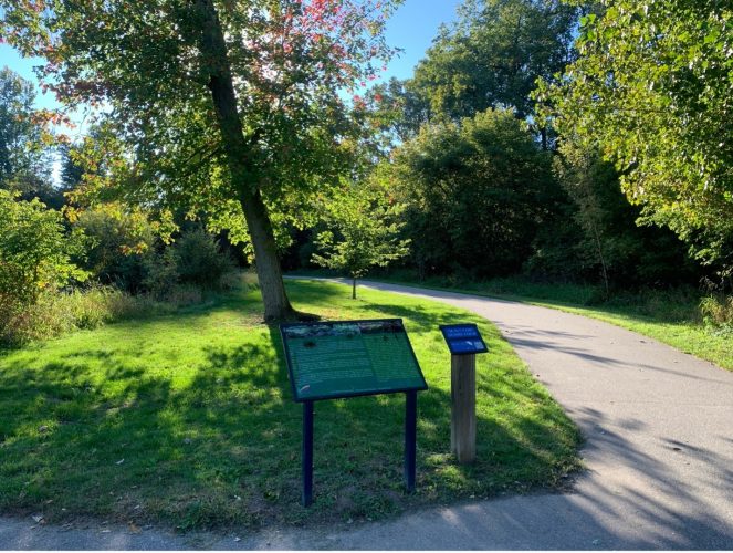 A Guide to Mt. Pleasant Parks Grand Central Magazine Your Campus